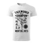 Pánské tričko Taekwondo World