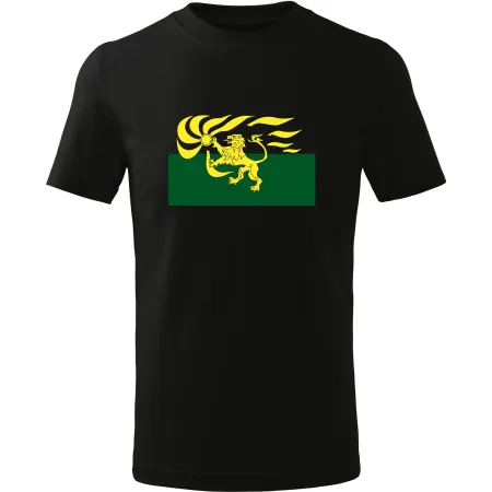 Pánské tričko Vlajka Zamundy