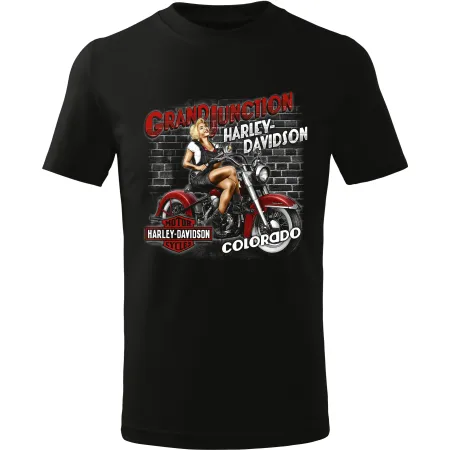 Pánské tričko Harley-Davidson Colorado 01