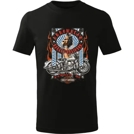 Pánské tričko Harley-Davidson Arrowhead