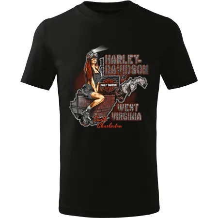 Pánské tričko Harley-Davidson West Virginia