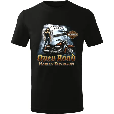 Pánské tričko Harley-Davidson Open road