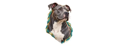 Pánská trička – Americký pitbulteriér | CrazyShirts