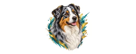 Pánská trička – Australský ovčák | CrazyShirts