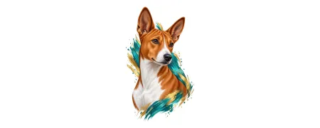 Pánská trička – Basenji | CrazyShirts