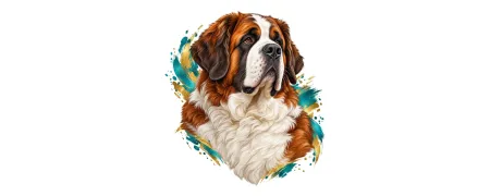 Pánská trička – Bernardýn | CrazyShirts