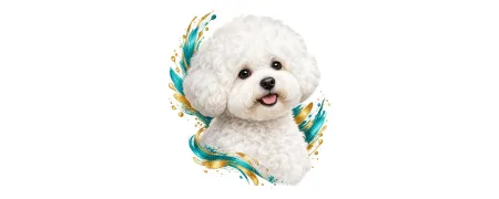 Pánská trička – Bichon frisé | CrazyShirts