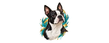 Pánská trička – Bostonský teriér | CrazyShirts