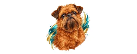 Pánská trička – Bruselský grifonek | CrazyShirts