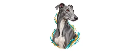 Pánská trička – Greyhound (Anglický chrt) | CrazyShirts