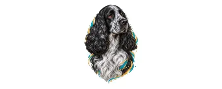 Pánská trička – Kokršpaněl | CrazyShirts