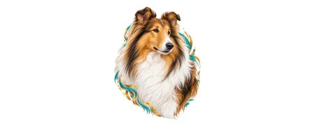 Pánská trička – Kolie | CrazyShirts