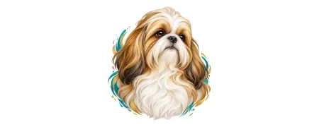 Pánská trička – Shih-tzu | CrazyShirts